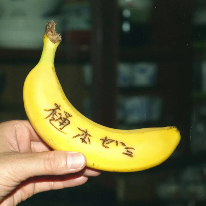 皮に「樋本ゼミ」と彫られたバナナを手に持った写真。本展のポスターに使った一枚