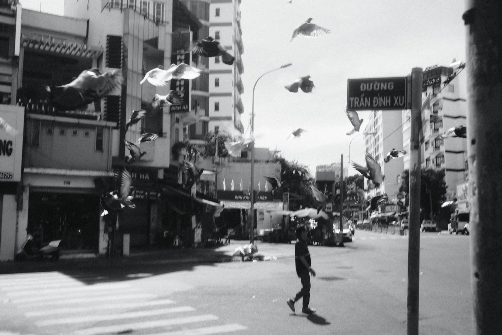 街角のスナップ写真「鳩の街」